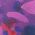 Color Swatch - Blue