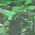Color Swatch - Green