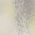 Color Swatch - Green