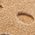 Color Swatch - Brown
