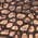 Color Swatch - Bronze/Multi