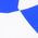 Color Swatch - Blue