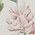 Color Swatch - Floral