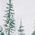 Color Swatch - Green Toile