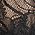 Color Swatch - Black/Nude
