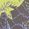 Color Swatch - Blue