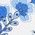 Color Swatch - Blue