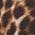 Color Swatch - Animal