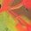 Color Swatch - Floral