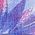 Color Swatch - Pink