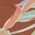 Color Swatch - Brown