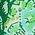 Color Swatch - Green