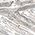 Color Swatch - Silver