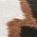 Color Swatch - Animal