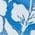 Color Swatch - Blue