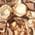 Color Swatch - Brown