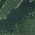 Color Swatch - Green