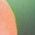 Color Swatch - Floral