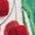 Color Swatch - Green