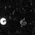 Color Swatch - Black