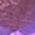 Color Swatch - Purple