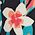 Color Swatch - Floral