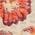 Color Swatch - Floral