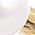 Color Swatch - Cream/Gold