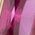 Color Swatch - Pink