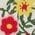 Color Swatch - Floral
