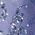 Color Swatch - Blue