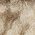 Color Swatch - Brown