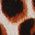 Color Swatch - Brown