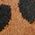 Color Swatch - Animal
