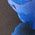 Color Swatch - Blue Black Multi