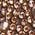 Color Swatch - Gold