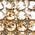Color Swatch - Gold