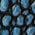 Color Swatch - Eternal Blue