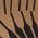 Color Swatch - Tan