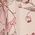 Color Swatch - Pink