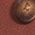 Color Swatch - Chestnut