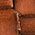 Color Swatch - Brown