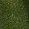 Color Swatch - Green