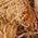 Color Swatch - Brown