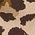 Color Swatch - Animal