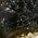 Color Swatch - Black