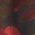 Color Swatch - Black/Red