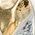 Color Swatch - Gold