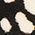 Color Swatch - Black