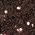 Color Swatch - Brown